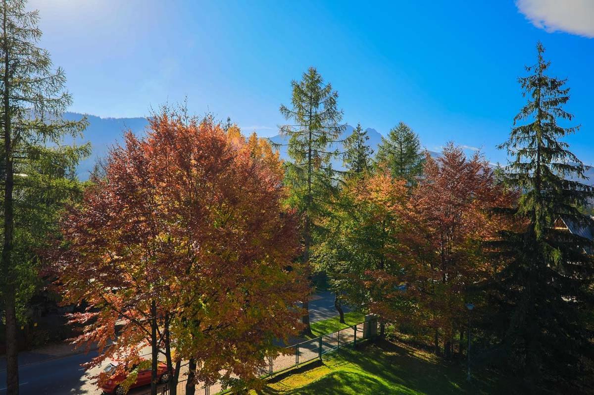 Arnika Penzion Zakopane